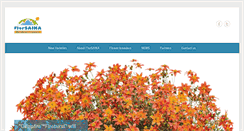 Desktop Screenshot of florsaika.com